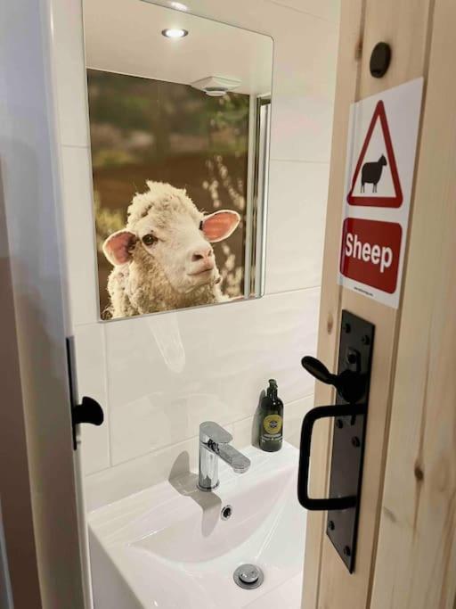 The Walkers' Cwtch Apartment Ffestiniog Bagian luar foto