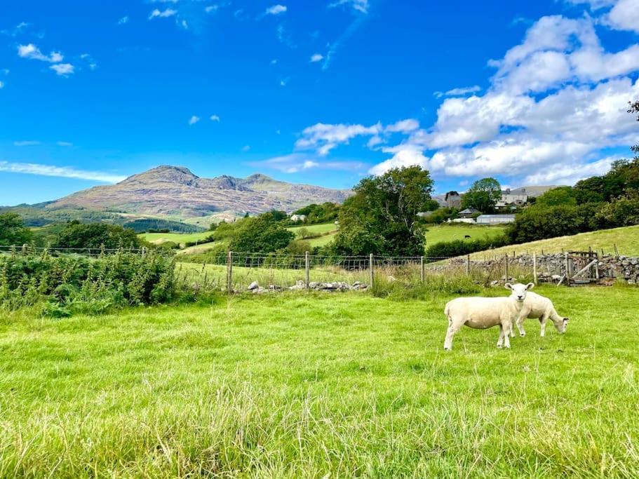The Walkers' Cwtch Apartment Ffestiniog Bagian luar foto